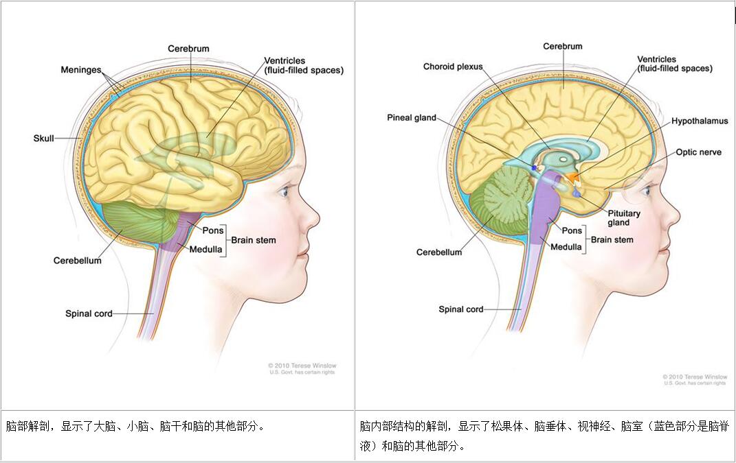 【儿童脑和脊髓肿瘤治疗】治疗方案_分期疗法-nci指南