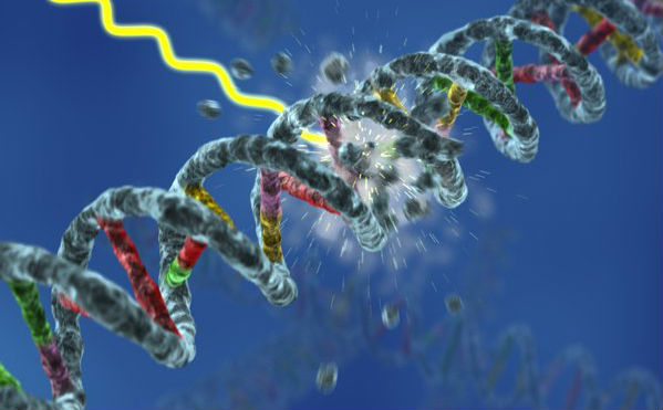 当破坏的dna已经无法由细胞修复时,癌细胞就会停止分裂或者死亡.