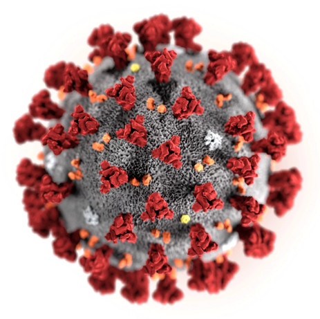 终止疫情的必杀技:一文看懂新冠疫苗研发