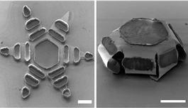 受寄生虫启发，研究人员发明一种微型给药装置，细如微尘